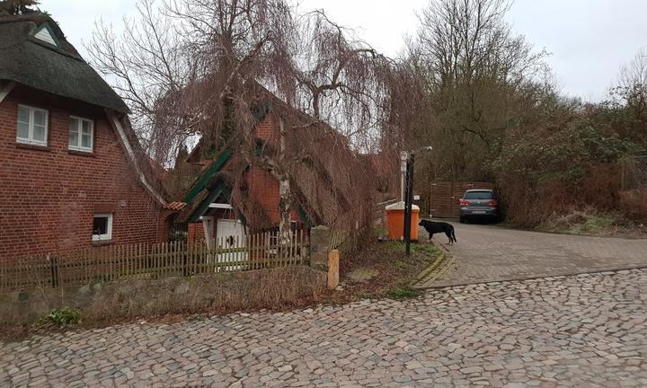 Romnitzer Muhle Restaurant & Cafe am See